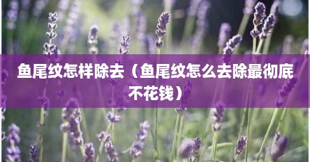 鱼尾纹怎样除去（鱼尾纹怎么去除最彻底不花钱）