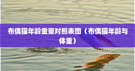 布偶猫年龄重量对照表图（布偶猫年龄与体重）