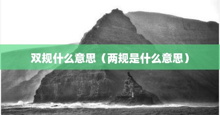 双规什么意思（两规是什么意思）