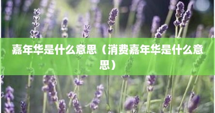 嘉年华是什么意思（消费嘉年华是什么意思）