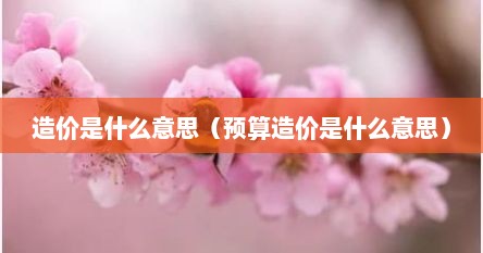 造价是什么意思（预算造价是什么意思）