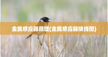 金属感应器原理(金属感应器接线图)