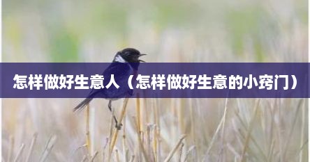 怎样做好生意人（怎样做好生意的小窍门）