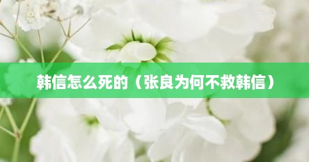 韩信怎么死的（张良为何不救韩信）
