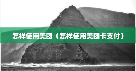 怎样使用美团（怎样使用美团卡支付）