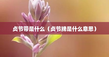 贞节带是什么（贞节牌是什么意思）