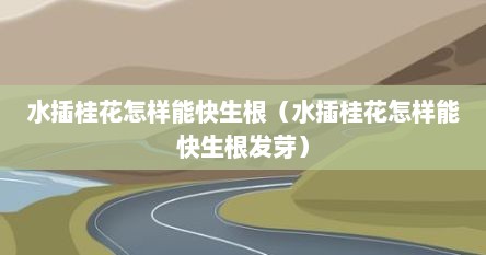 水插桂花怎样能快生根（水插桂花怎样能快生根发芽）