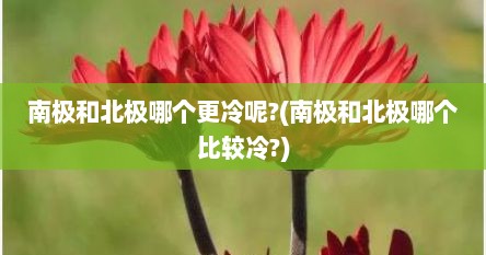 南极和北极哪个更冷呢?(南极和北极哪个比较冷?)