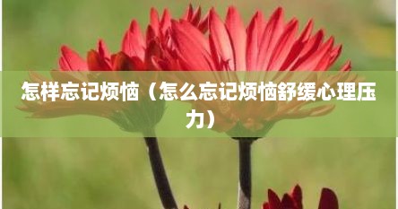 怎样忘记烦恼（怎么忘记烦恼舒缓心理压力）