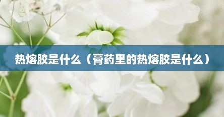 热熔胶是什么（膏药里的热熔胶是什么）