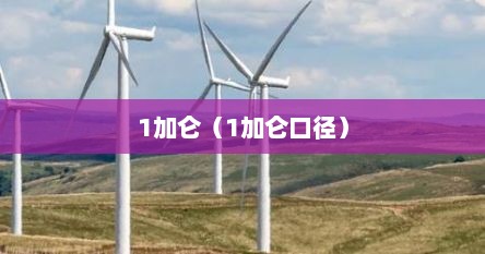 1加仑（1加仑口径）