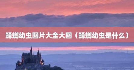 蟑螂幼虫图片大全大图（蟑螂幼虫是什么）