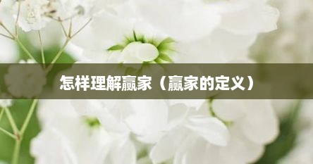 怎样理解赢家（赢家的定义）