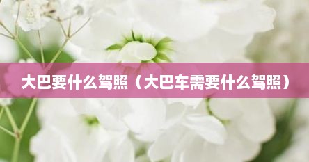 大巴要什么驾照（大巴车需要什么驾照）