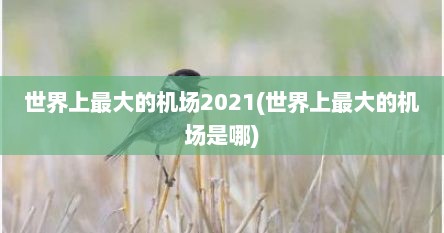 世界上最大的机场2021(世界上最大的机场是哪)