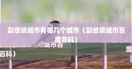 副省级城市有哪几个城市（副省级城市百度百科）