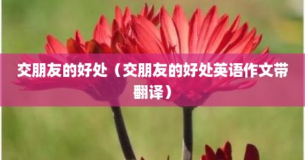 交朋友的好处（交朋友的好处英语作文带翻译）