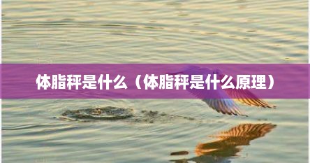 体脂秤是什么（体脂秤是什么原理）