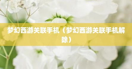 梦幻西游关联手机（梦幻西游关联手机解除）