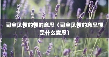 司空见惯的惯的意思（司空见惯的意思惯是什么意思）