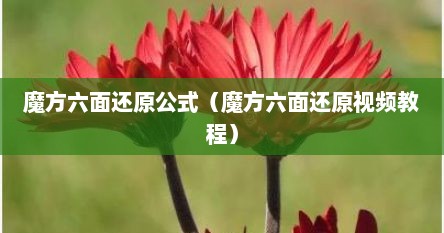 魔方六面还原公式（魔方六面还原视频教程）