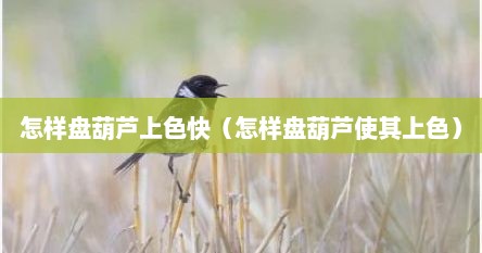 怎样盘葫芦上色快（怎样盘葫芦使其上色）