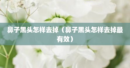鼻子黑头怎样去掉（鼻子黑头怎样去掉最有效）