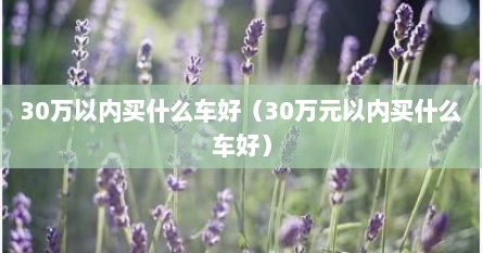 30万拟内买什么车好（30万元拟内买什么车好）