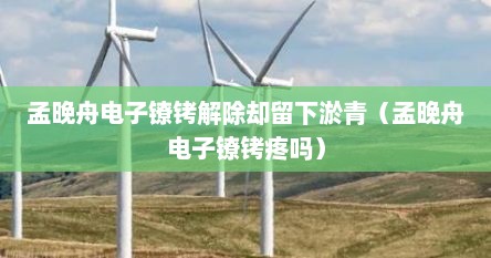孟晚舟电子镣铐解除却留下淤青（孟晚舟电子镣铐疼吗）