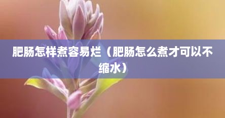 肥肠怎样煮容易烂（肥肠怎么煮才可以不缩水）