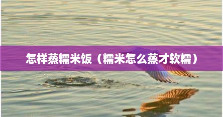 怎样蒸糯米饭（糯米怎么蒸才软糯）
