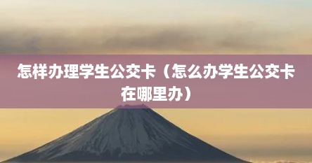 怎样办理学生公交卡（怎么办学生公交卡在哪里办）