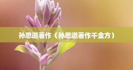 孙思邈著作（孙思邈著作千金方）