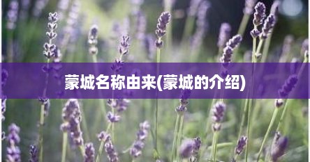蒙城名称由来(蒙城的介绍)