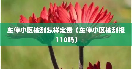 车停小区被刮怎样定责（车停小区被刮报110吗）