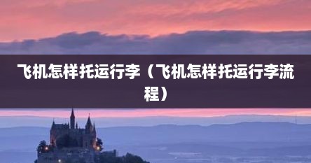 飞机怎样托运行李（飞机怎样托运行李流程）