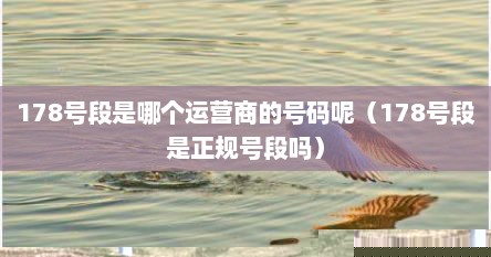 178号段是哪个运营商的号码呢（178号段是正规号段吗）