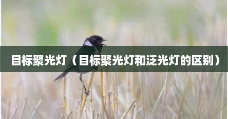 目标聚光灯（目标聚光灯和泛光灯的区别）
