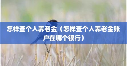 怎样查个人养老金（怎样查个人养老金账户在哪个银行）