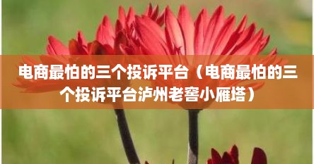 电商最怕的三个投诉平台（电商最怕的三个投诉平台泸州老窖小雁塔）