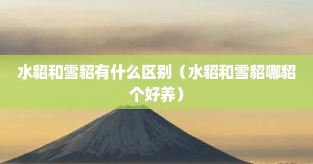 水貂和雪貂有什么区别（水貂和雪貂哪貂个好养）