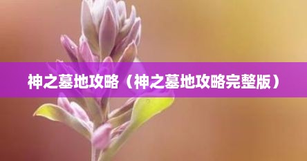 神之墓地攻略（神之墓地攻略完整版）