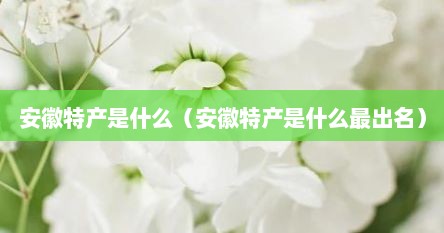 安徽特产是什么（安徽特产是什么最出名）