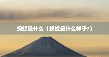 蚂蝗是什么（蚂蝗是什么样子?）