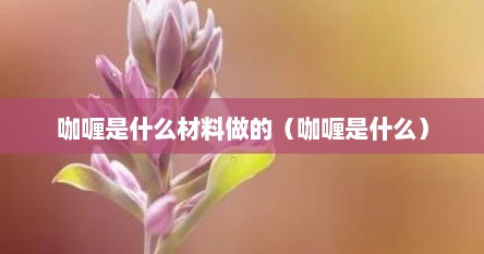 咖喱是什么材料做的（咖喱是什么配料）