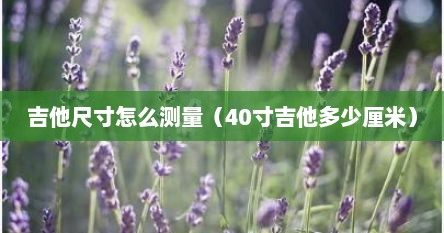 吉他尺寸怎么测量（40寸吉他多少厘米）