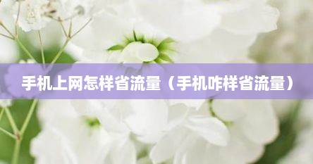 手机上网怎样省流量（手机咋样省流量）