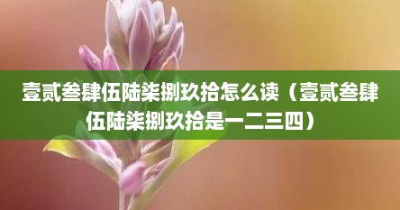 壹贰叁肆伍陆柒捌玖拾怎么读（壹贰叁肆伍陆柒捌玖拾是一二三四）