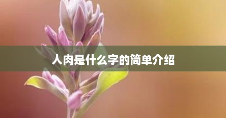 人肉是什么字的简单介绍