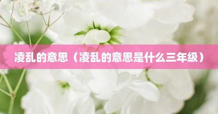 凌乱的意思（凌乱的意思是什么三年级）